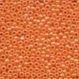 Glass Seed Bead 00423 1