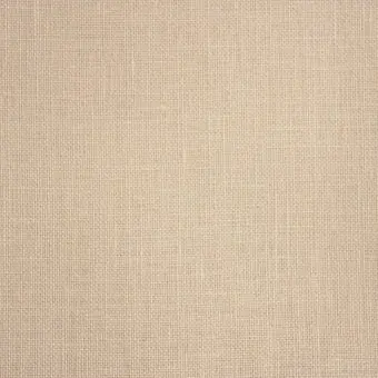 36 Count Platinum Linen 1