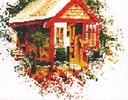 Dutch Door Shed 1