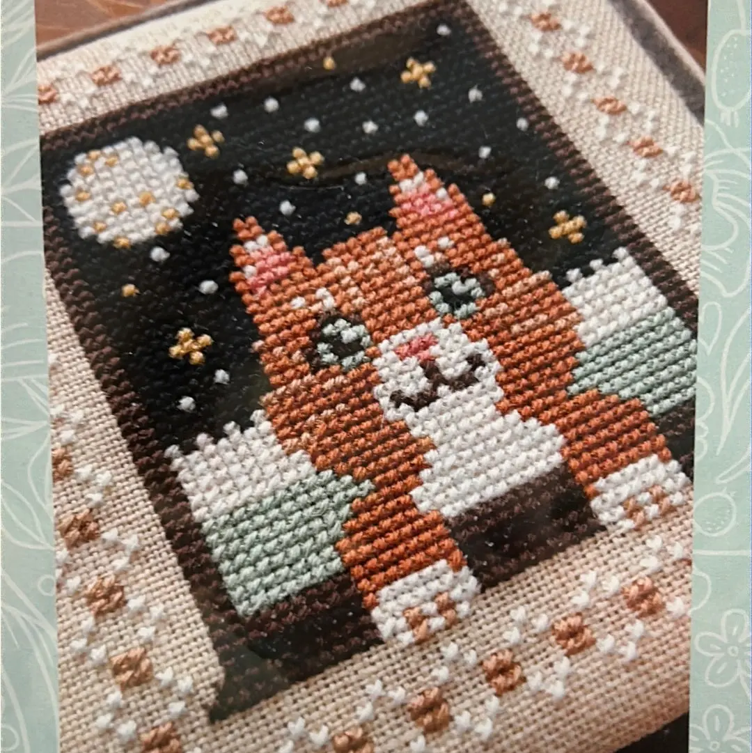 Meow At The Moon 1