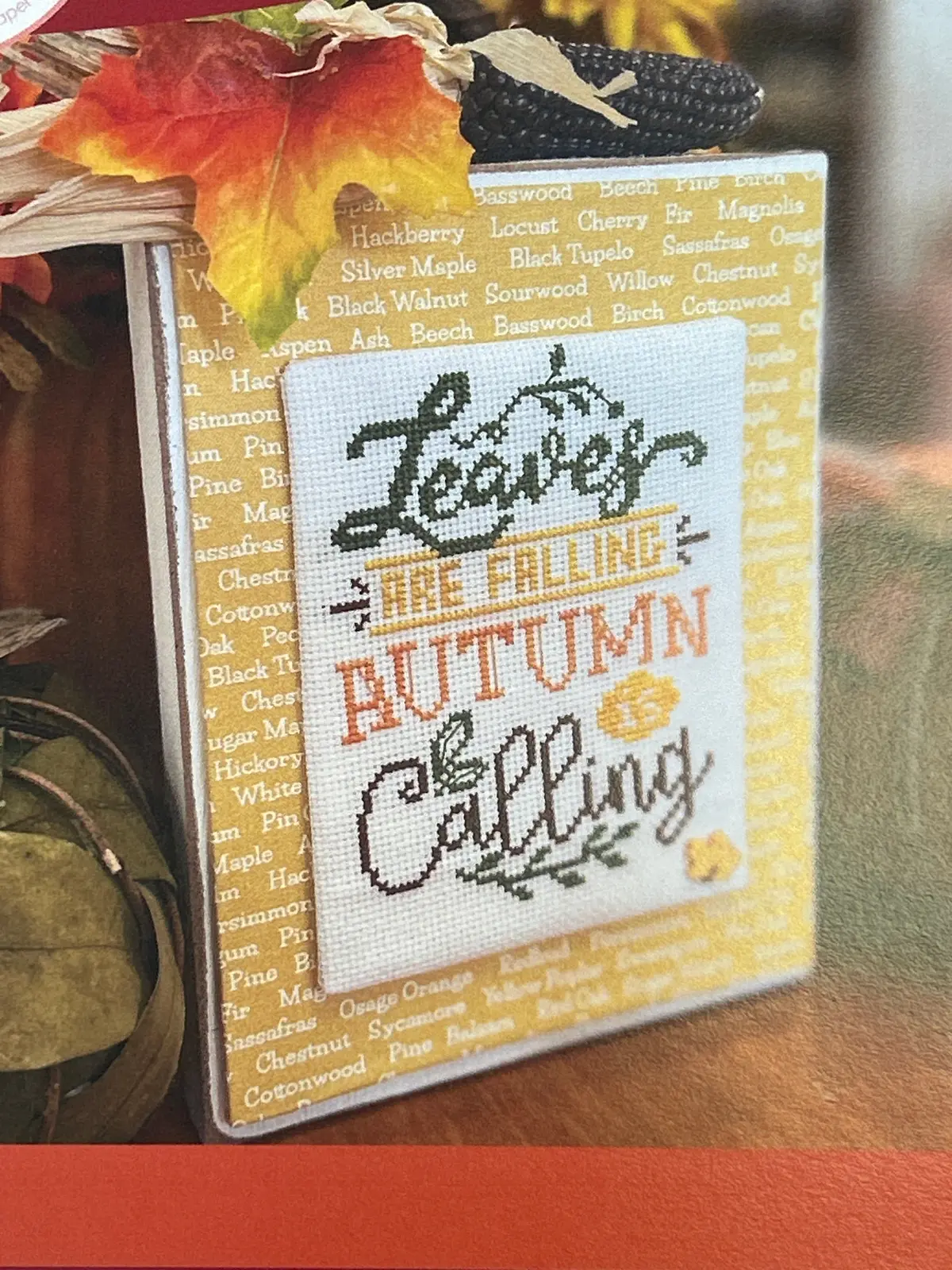 Leaves Are Falling 1
