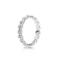Ring Of Daisies 1