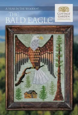 A Year In The Woods 7 - The Bald Eagle 1