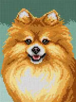 Pomeranian Needlepoint Canvas 1