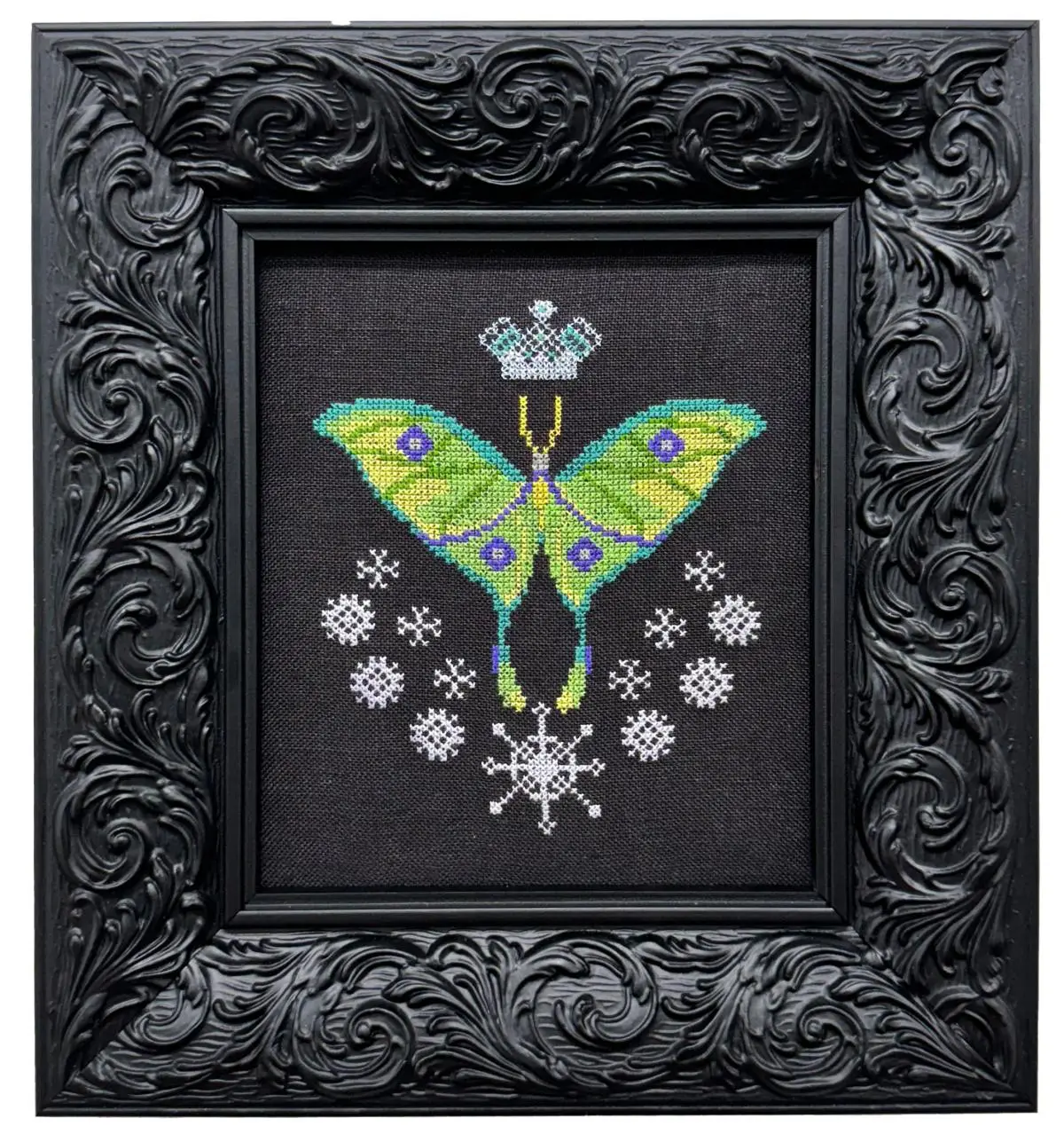 Queen Of The Night 1