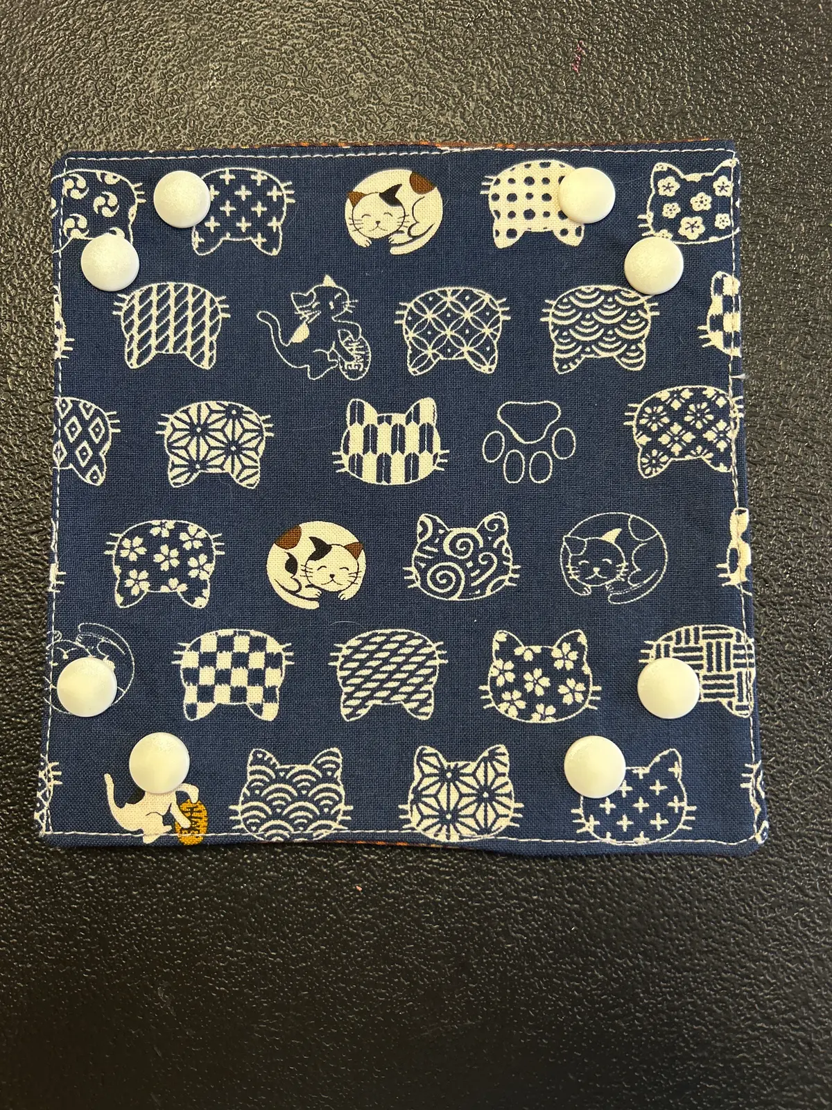 Silly Kitties Snap Tray 1