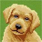 Yellow Labrador Needlepoint Kit 1