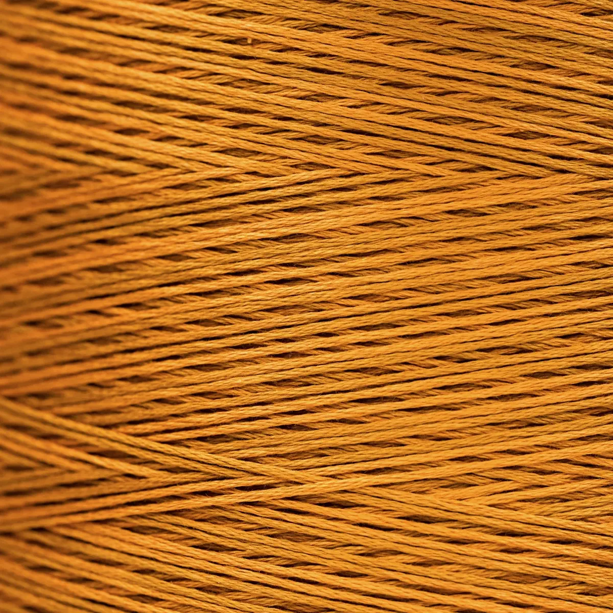 Weeks 1227A Turmeric 1