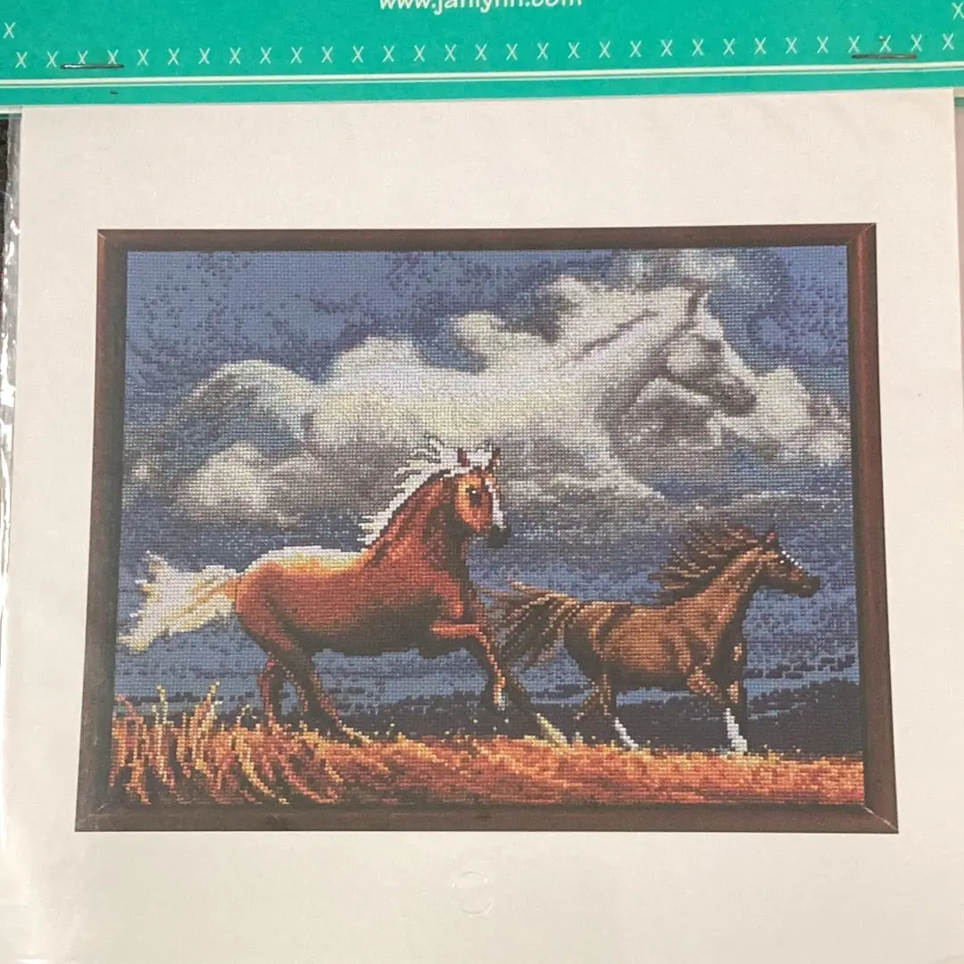 Spirit Of The Horse 1