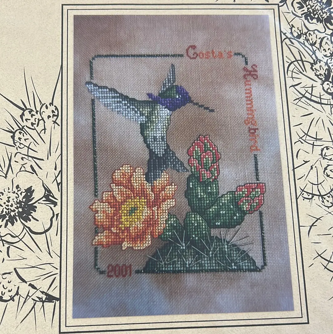 Costa's Hummingbird 1