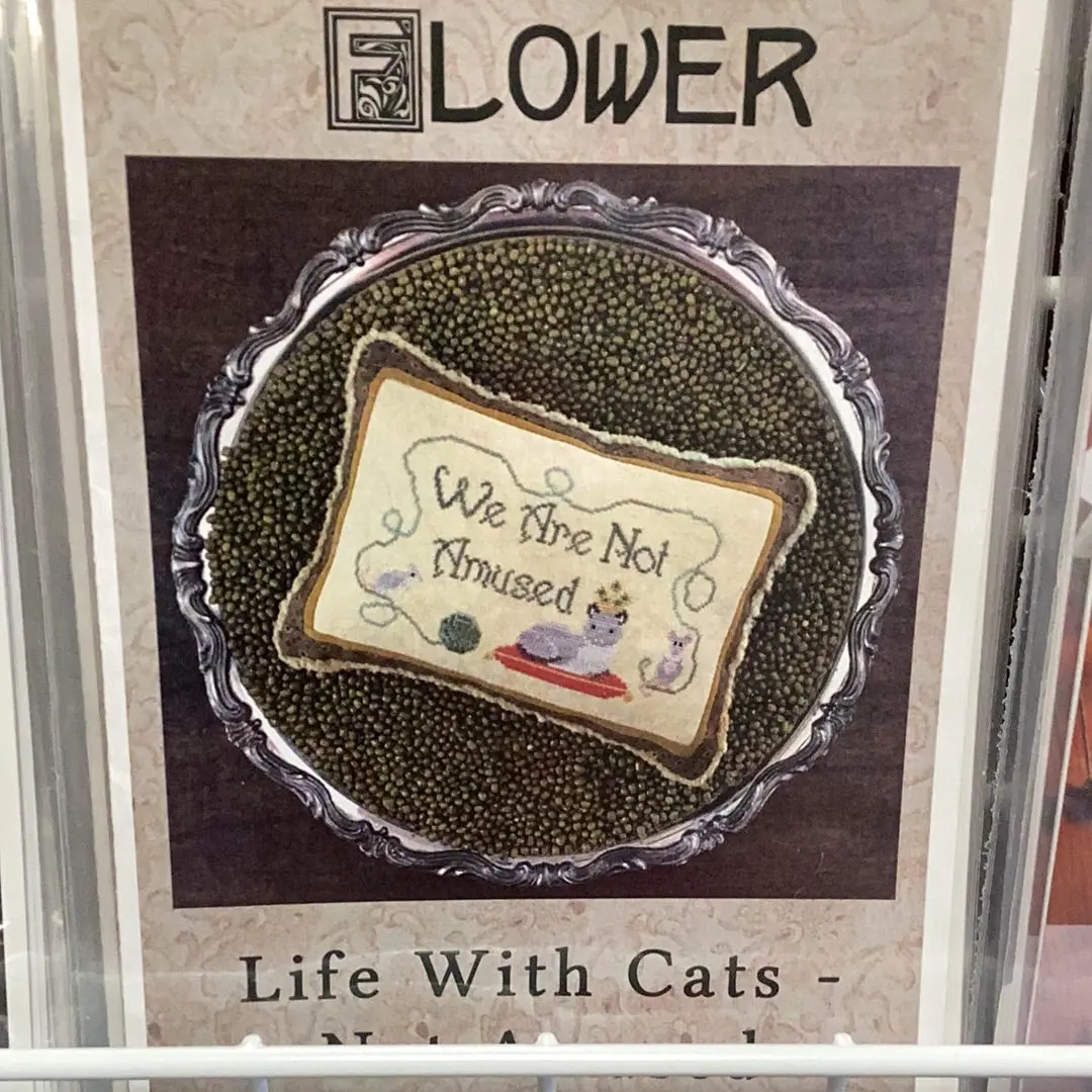 Life With Cats - Not Amused 1