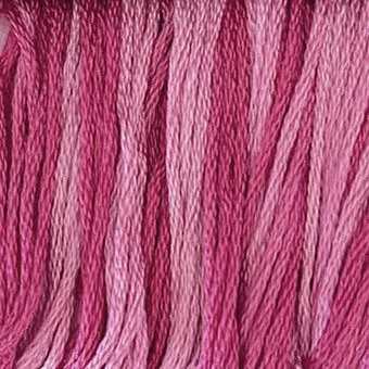 Priscilla's Peppermint 1