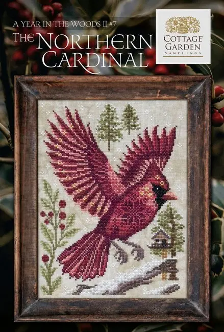 A Year In The Woods Ii: The Northern Cardinal 1