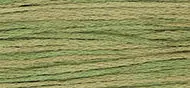 Weeks 2200 Kudzu 1