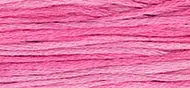 Weeks 2275A Bubble Gum 1