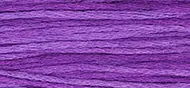 Weeks 2329 Purple Majesty 1