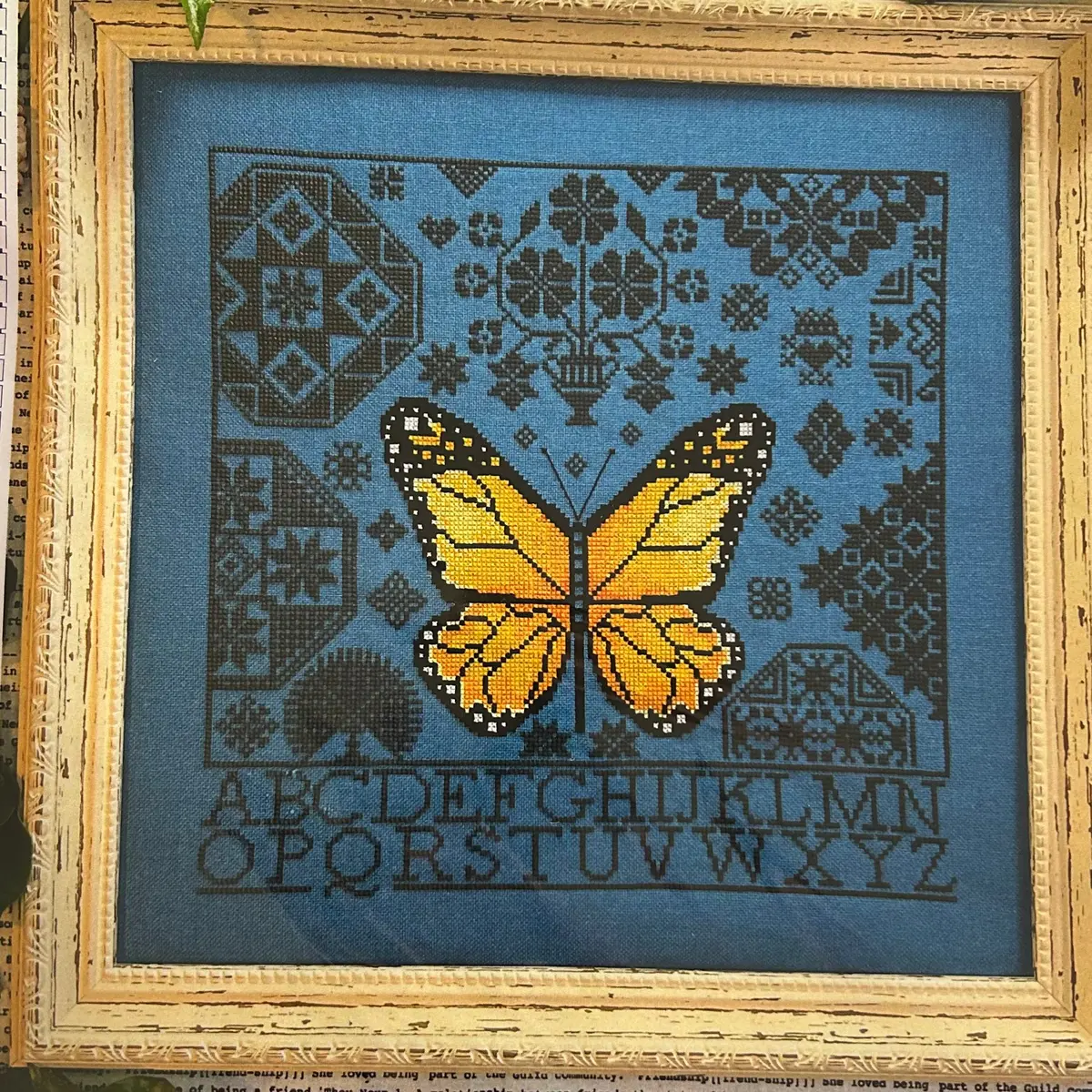 Monarch Butterfly 1