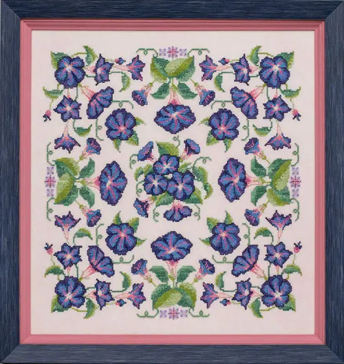 Convolvulceae - Morning Glory Mandala 1