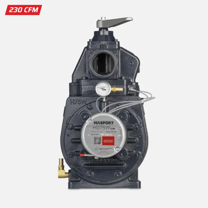 Masport Pump Hd75w 1