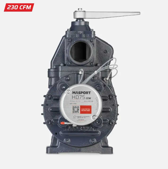 Masport Pump Hd75v 1