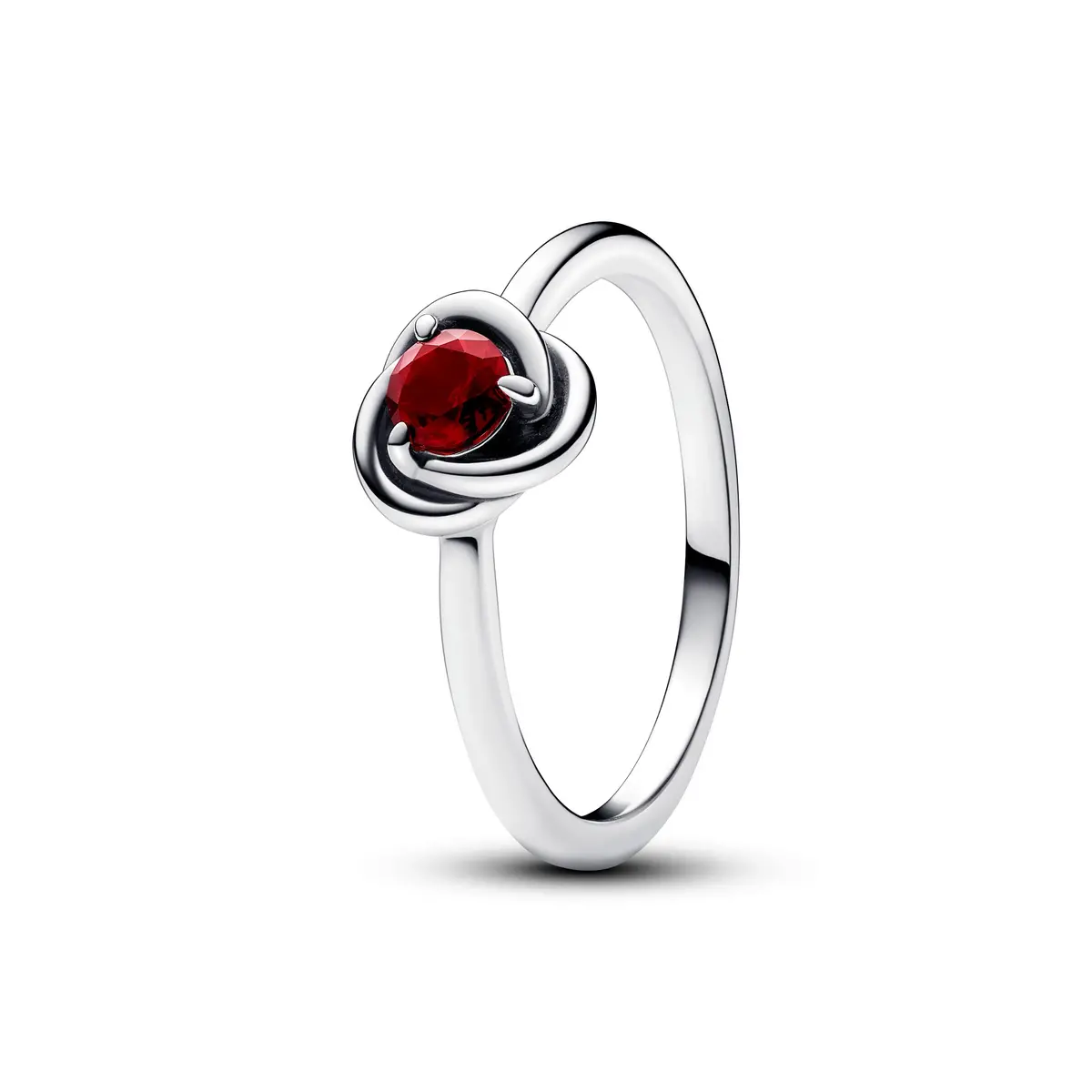 Eternity Circle Ring 1