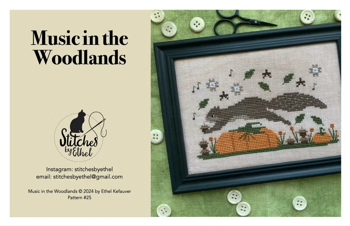 Music In The Woodlands 1