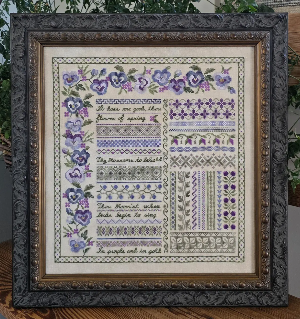 Pansy Garden Sampler 1