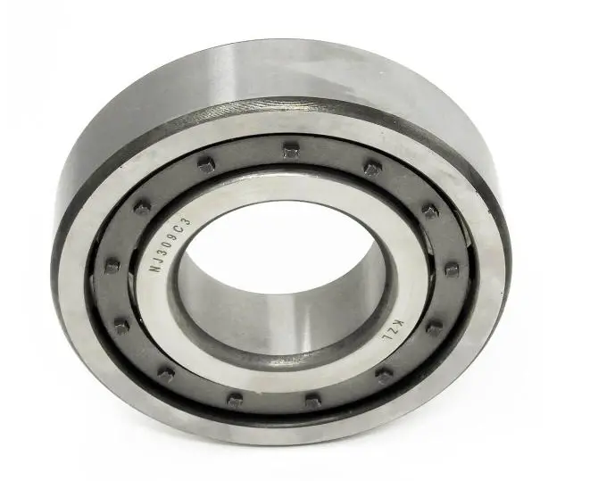 Fruitland Pump Roller Bearing Rf500-19A 1