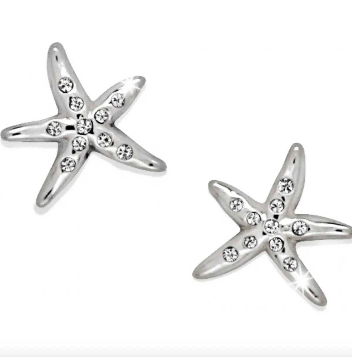 Cape Star Mini Post Earrings 1
