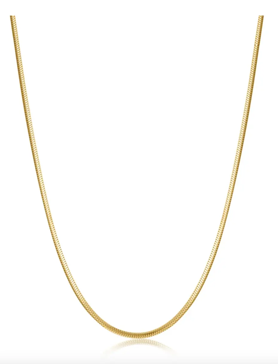 Snake Chain Necklace 1