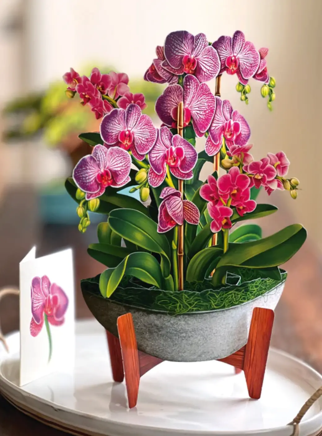 Orchid Oasis Card 1
