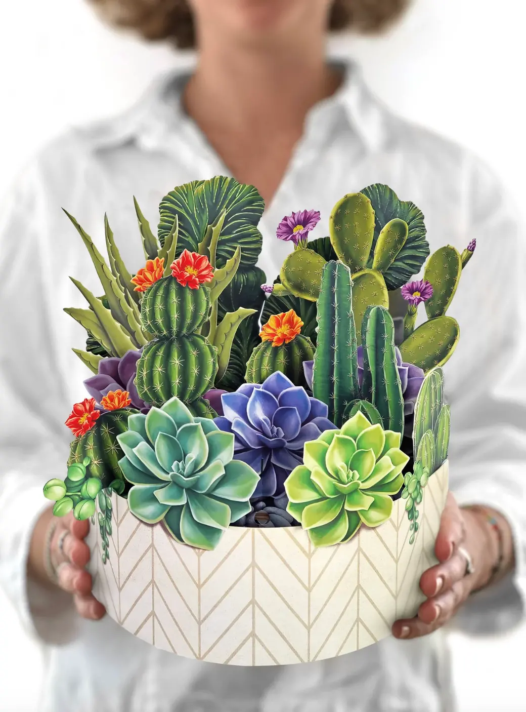 Cactus Garden Card 1