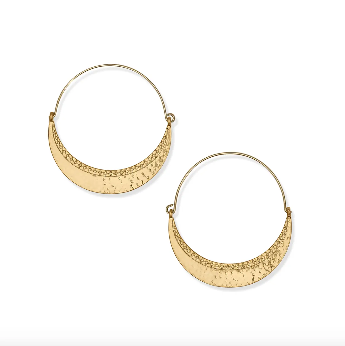 Palm Canyon Large Hoop Earrings 1