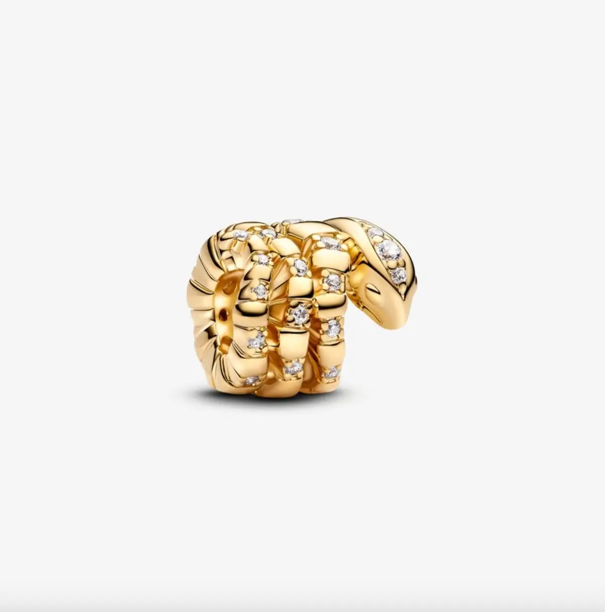 Curled Snake Charm 1