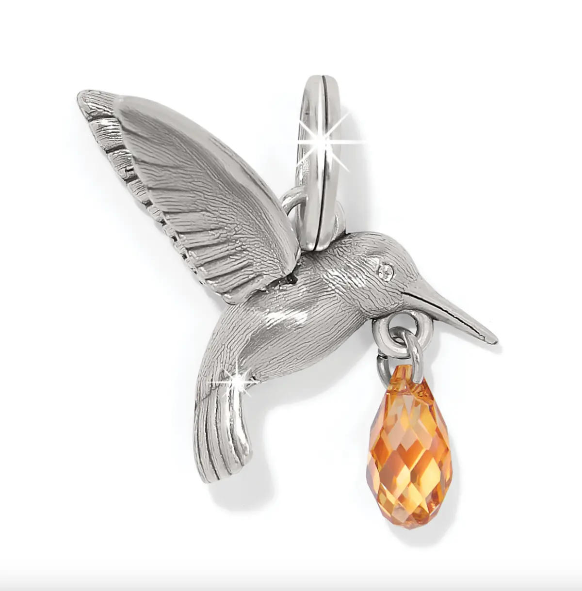 Hummingbird Charm 1
