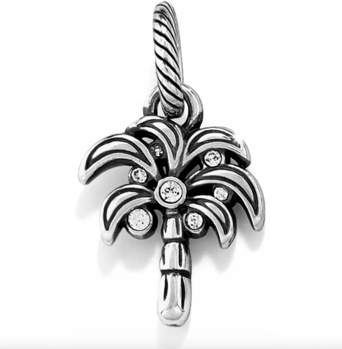Desert Palm Charm 1
