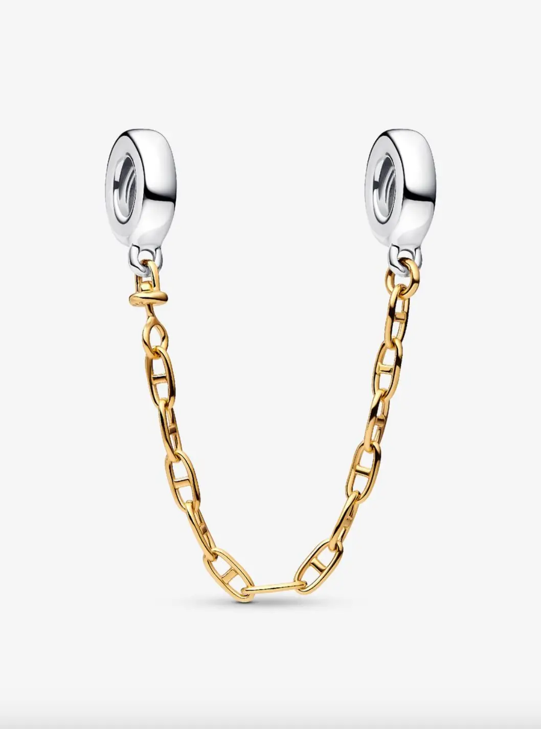 Elongated Safety Chain 1