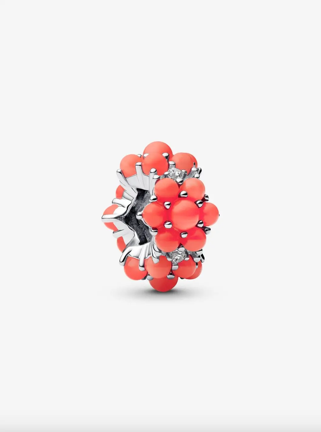 Coral-Colored Ocean Charm 1