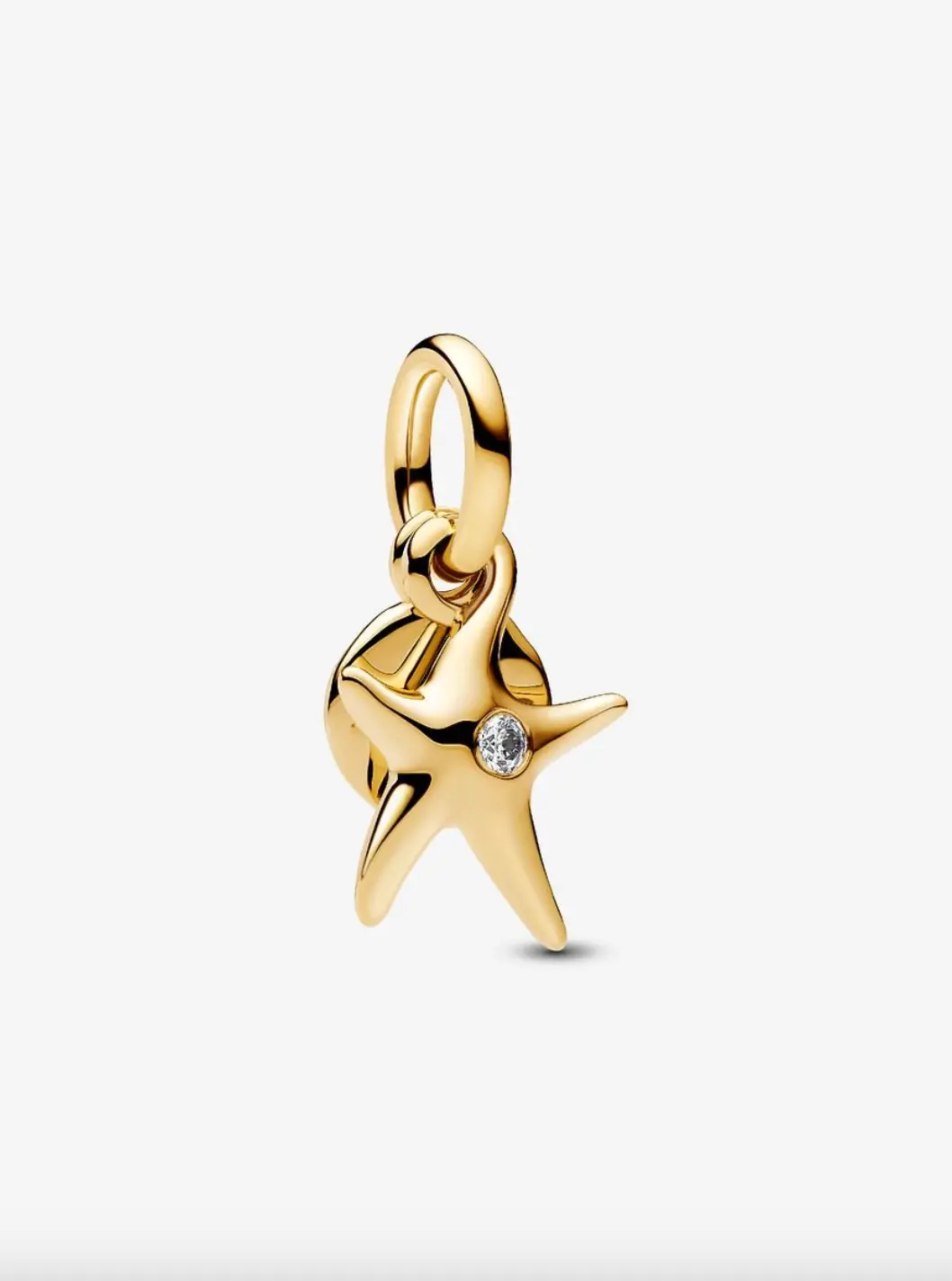 Starfish Double Dangle Charm 1
