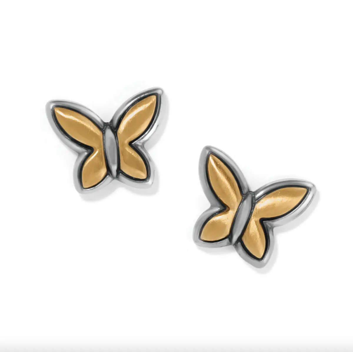 Goldie Wings Mini Post Earrings 1