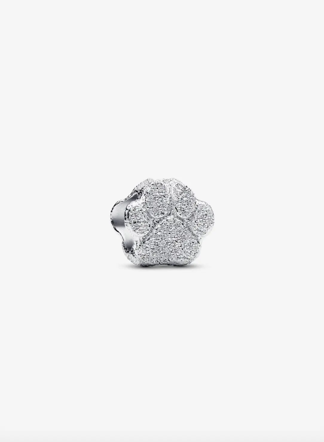 Textured Paw Mini Charm 1