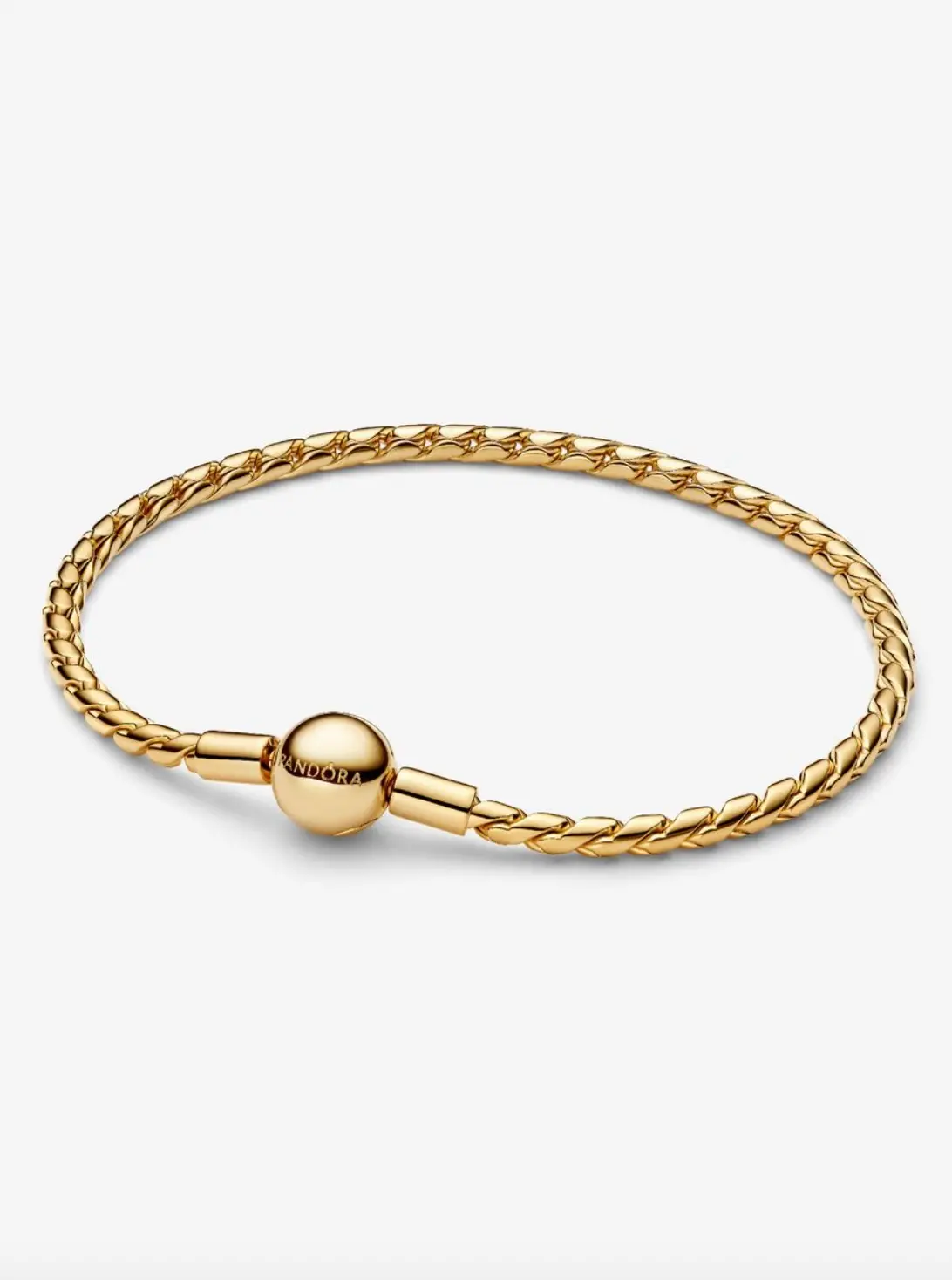 Round Clasp Wing Chain Bracelet 1