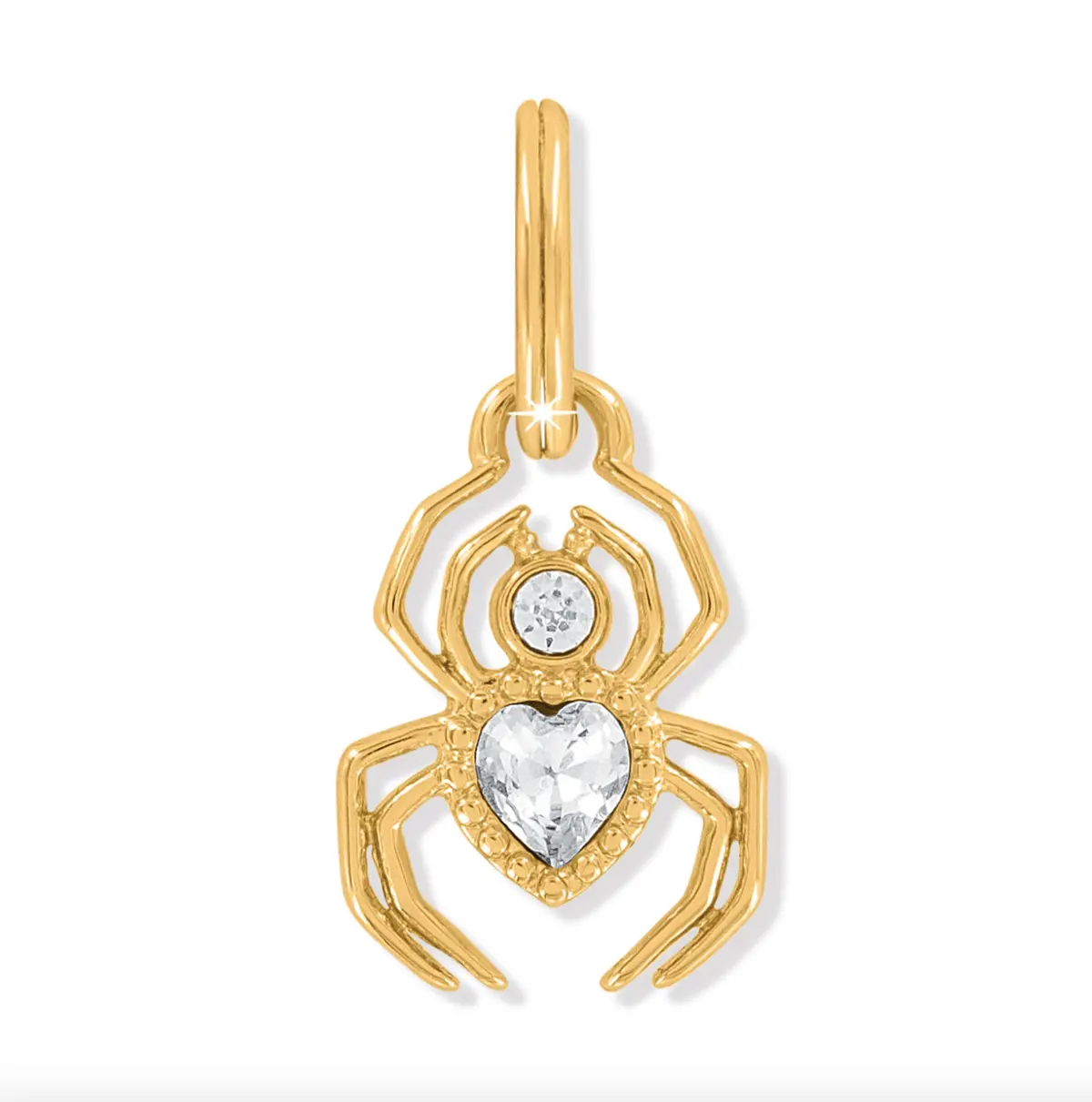 Golden Spider Charm 1