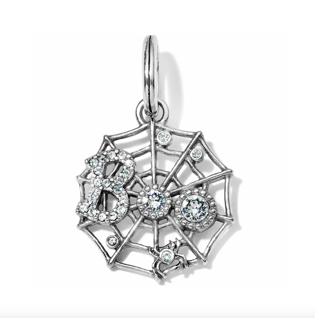 Spider Web Charm 1