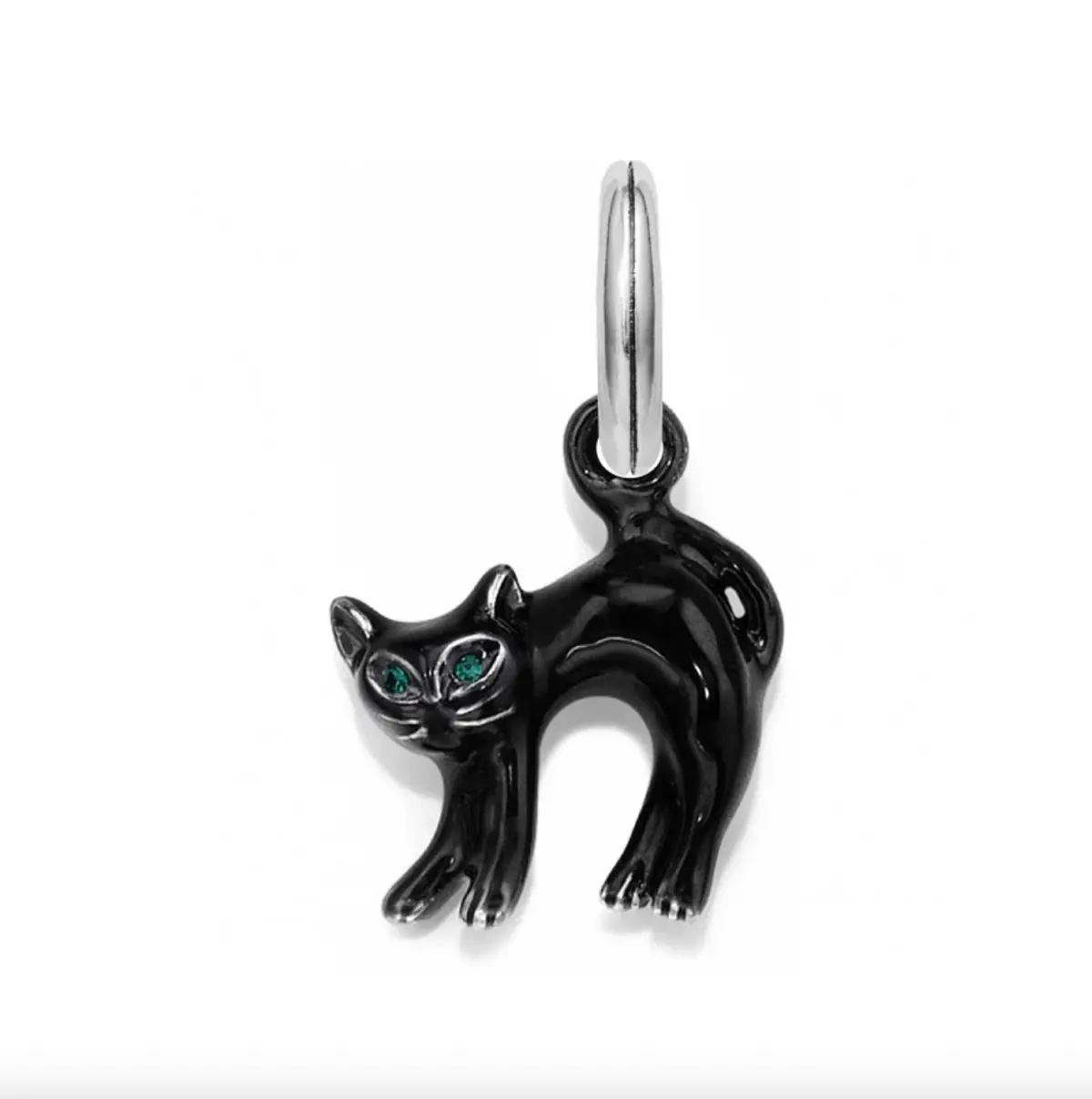 Scaredy Cat Charm 1