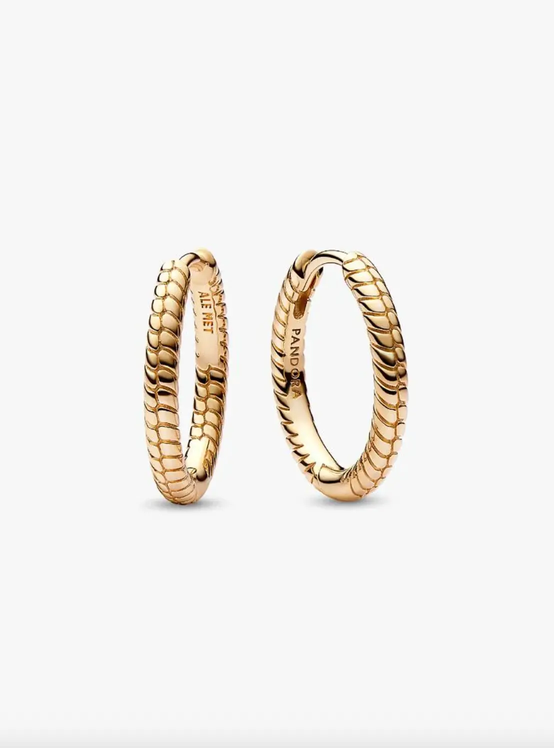 Pandora Moments Small Charm Hoop Earrings 1