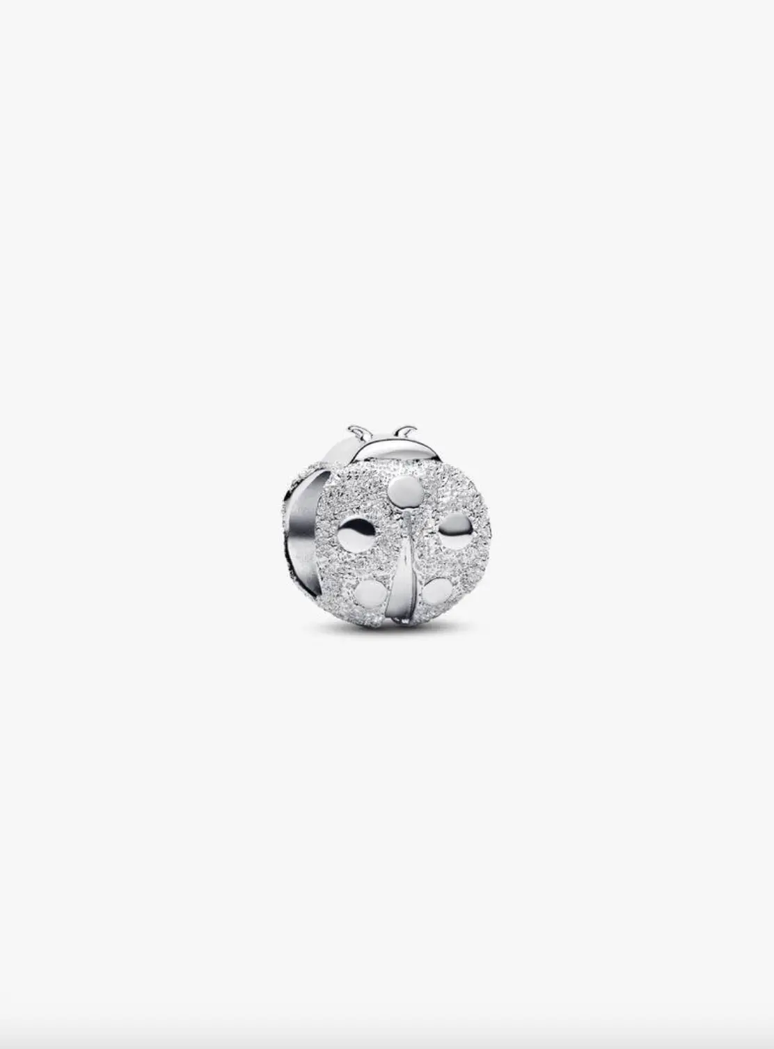 Textured Ladybird Mini Charm 1