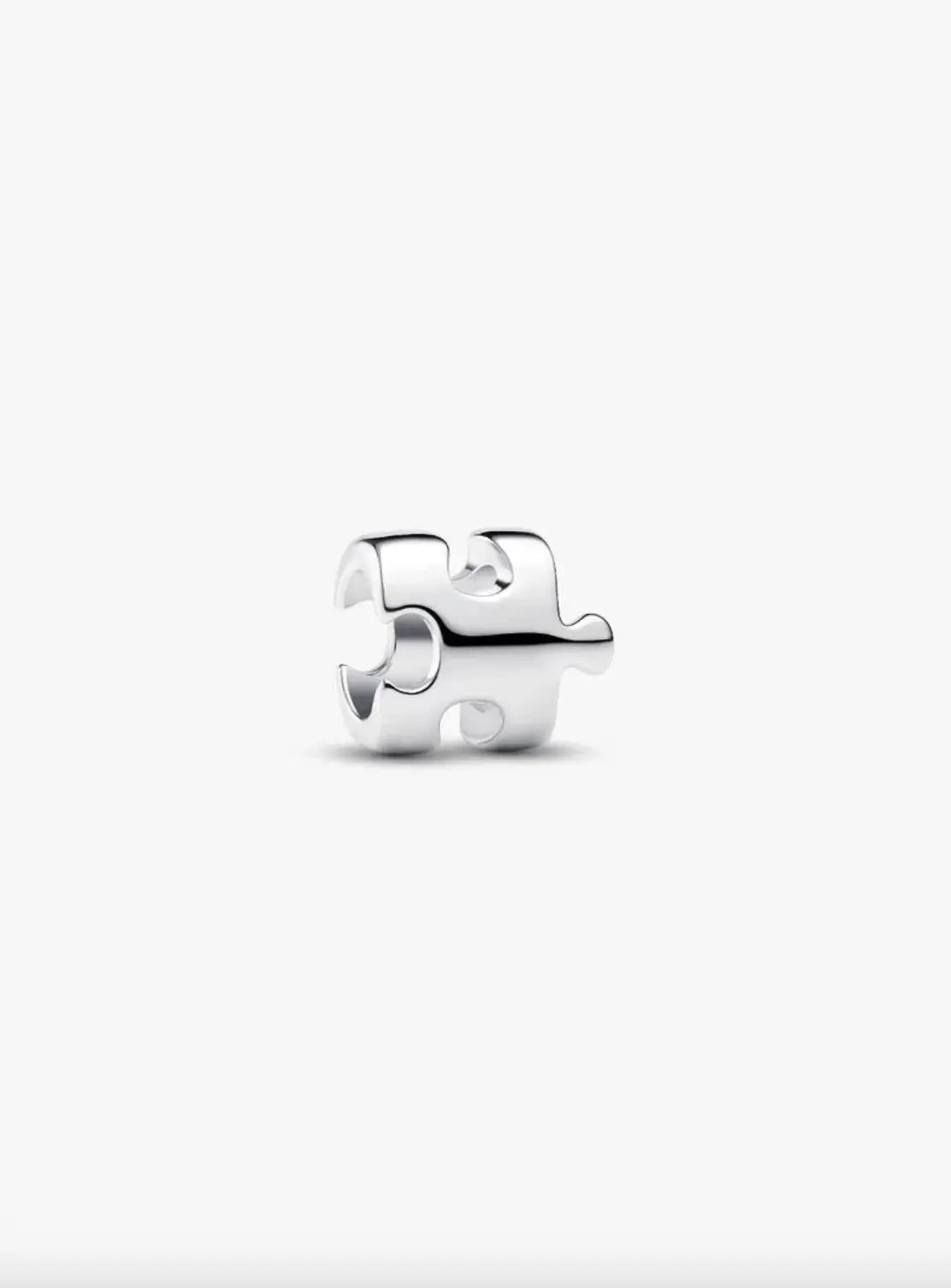 Puzzle Piece Mini Charm 1