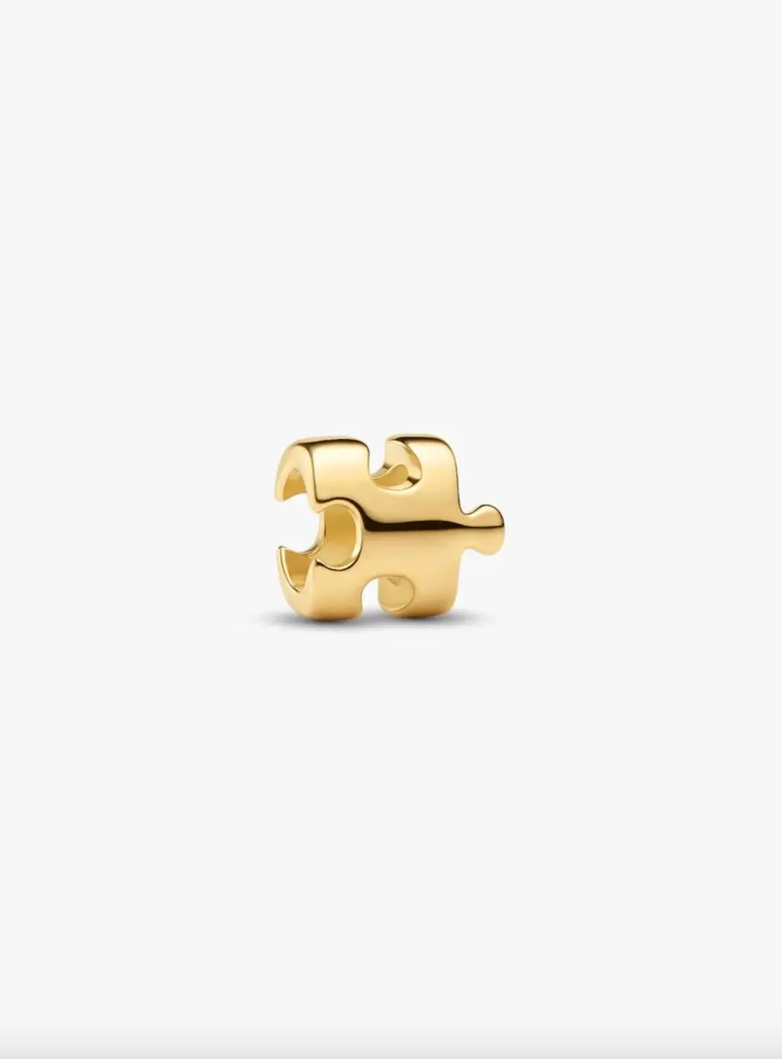 Puzzle Piece Mini Charm 1