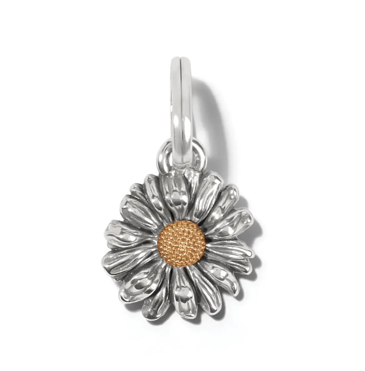 Daisy Dee Charm 1